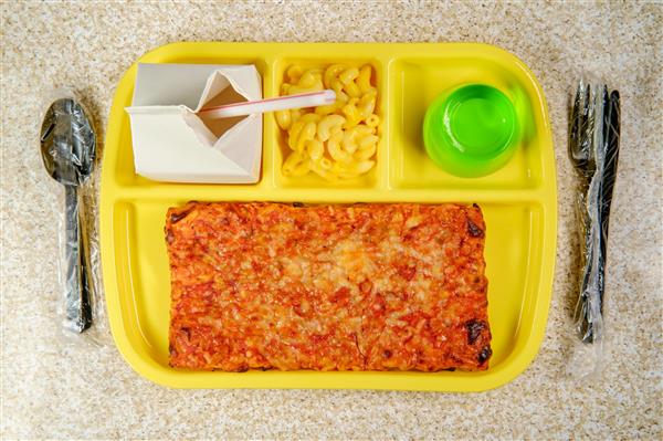 School Lunch 